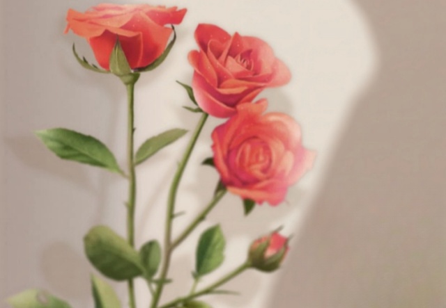 祝天下女神們節(jié)日快樂?。。? ></a>
                        <a href=